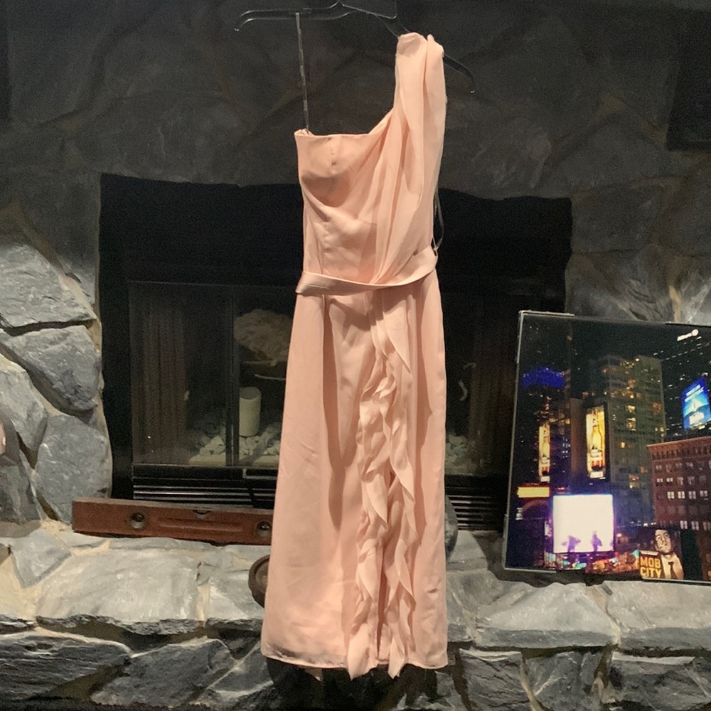 David’s bridal in Vero Wang bridesmaids dress